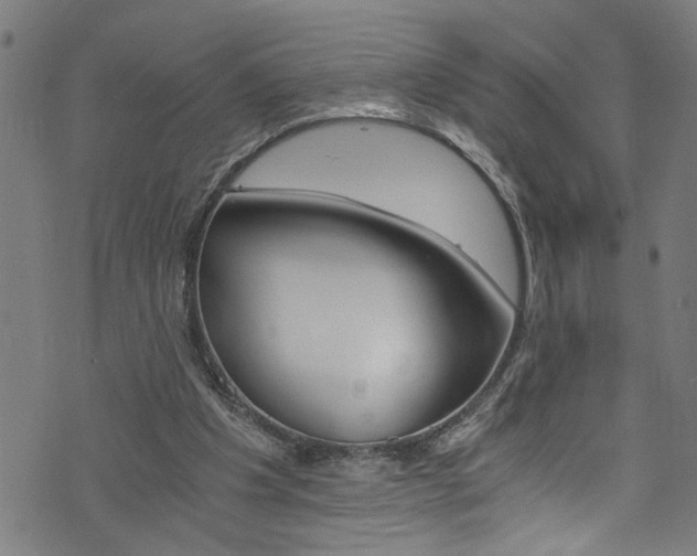 X0000073980201200608211017