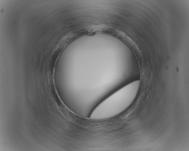 X0000073980209200608211016