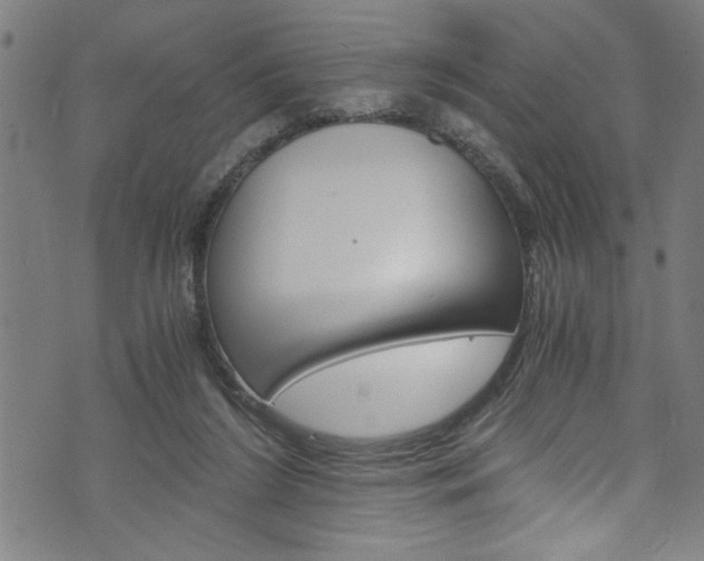 X0000073980212200608211016