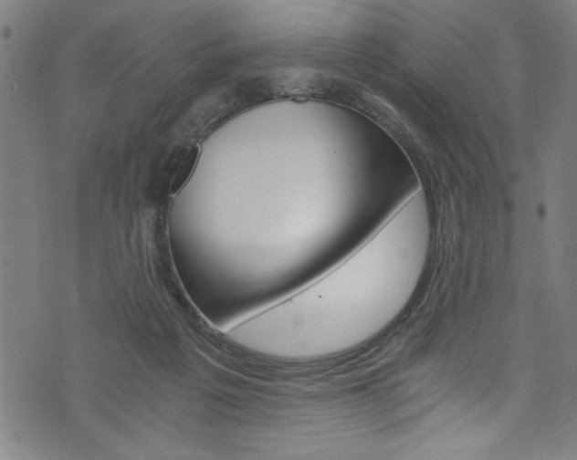 X0000073980217200608211016