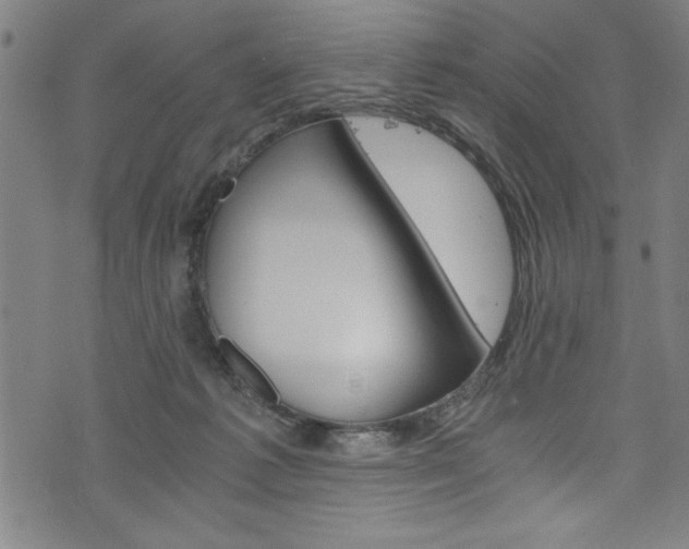 X0000073980221200608211016