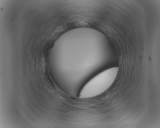 X0000073980223200608211016