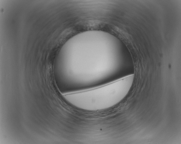X0000073980225200608211016