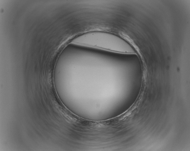 X0000073980249200608211015