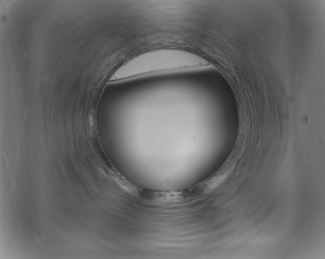 X0000073980288200608211016