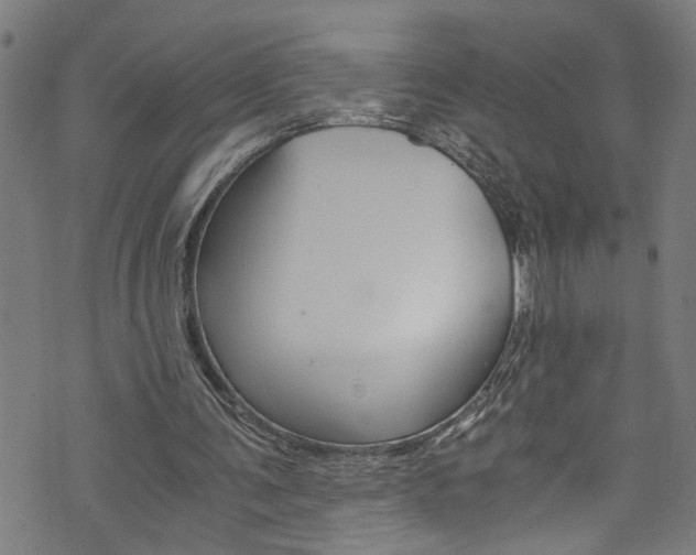 X0000073980291200608211015