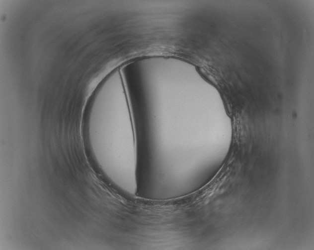 X0000073980292200608211015
