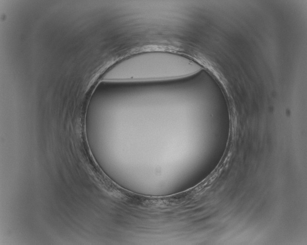 X0000073980297200608211015