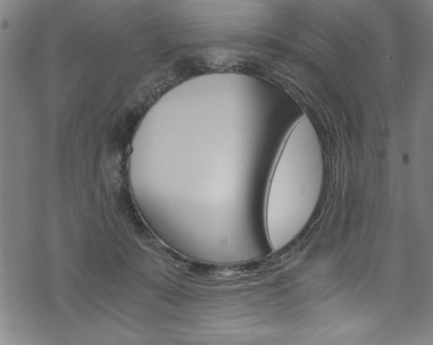 X0000073980319200608211015