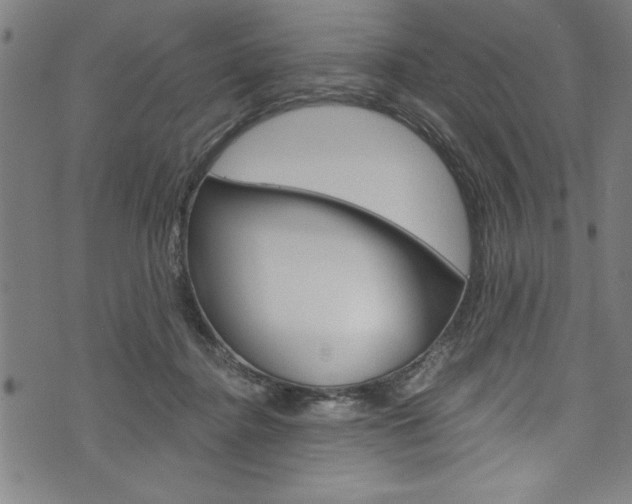 X0000073980364200608211014