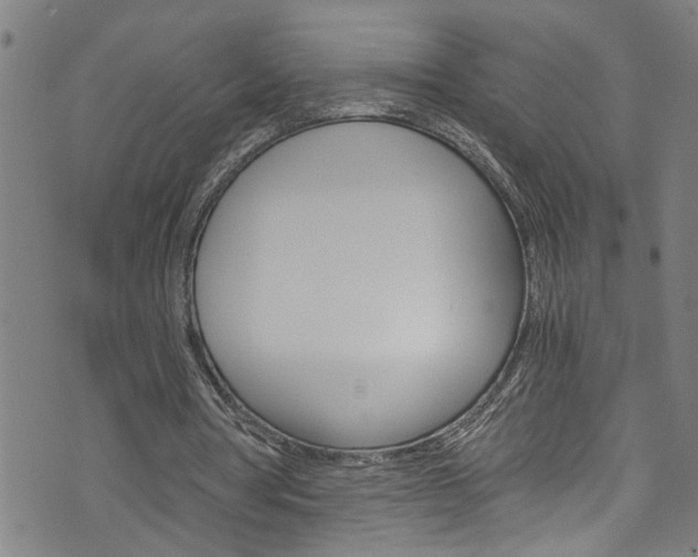 X0000073980386200608211014