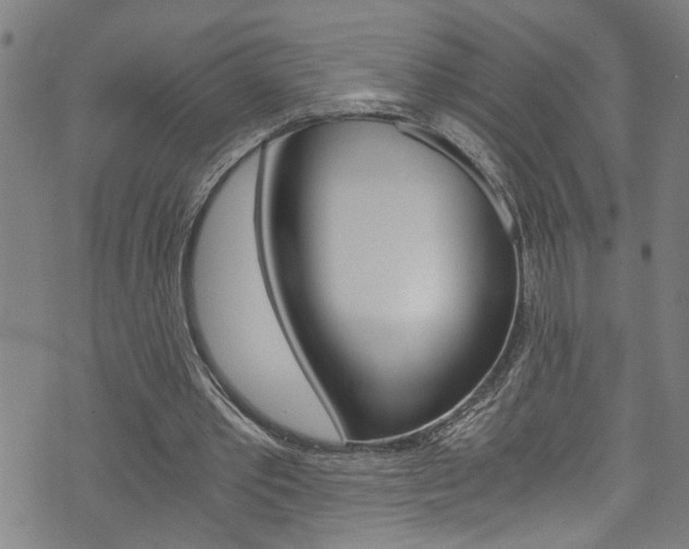 X0000073980389200608211014