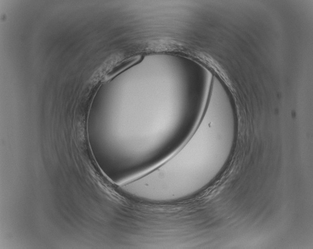 X0000073980393200608211013