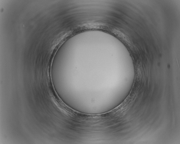 X0000073980398200608211013