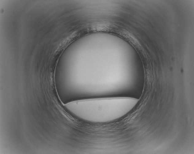 X0000073980401200608211013