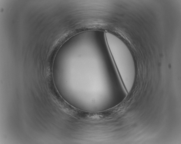 X0000073980407200608211013