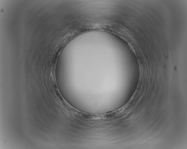 X0000073980415200608211013