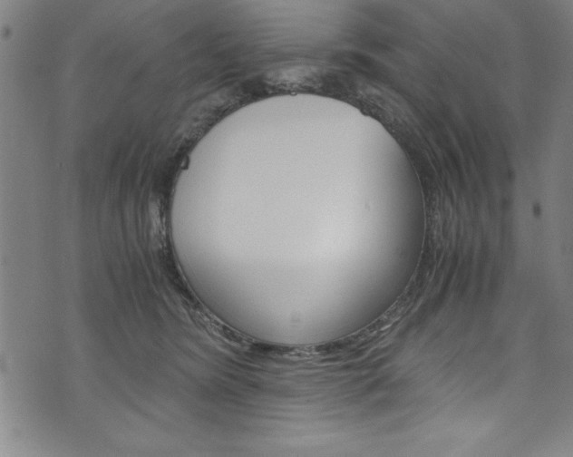 X0000073980420200608211013