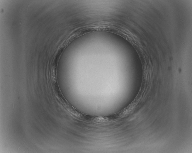 X0000073980421200608211013