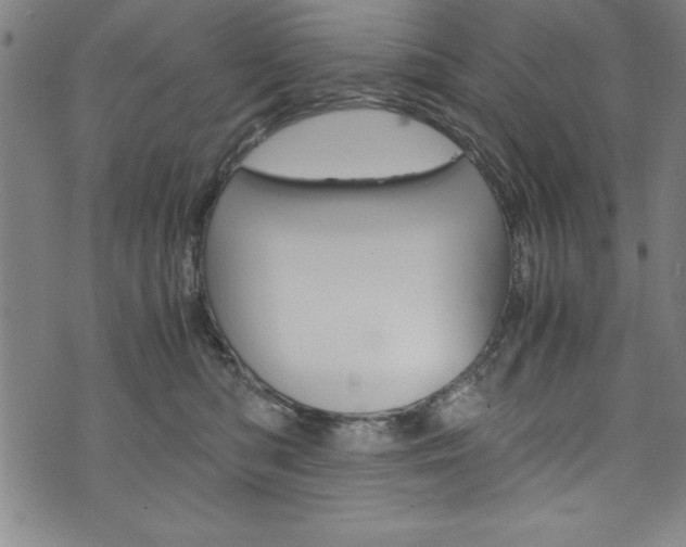 X0000073980422200608211013