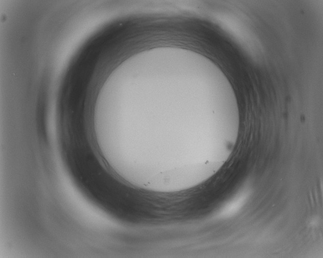 X0000073980431200608211013