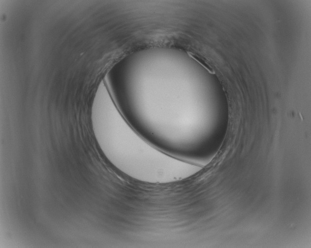 X0000073980432200608211013