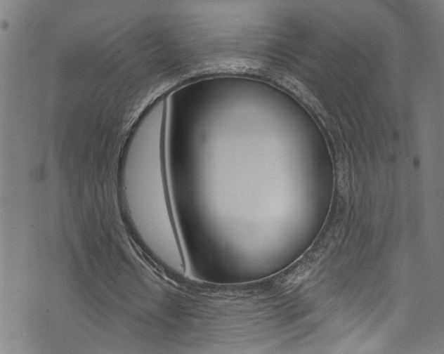 X0000073980434200608211012