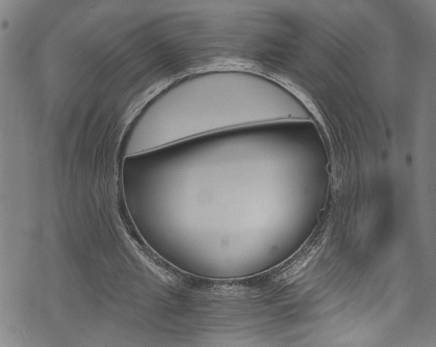 X0000073980437200608211012