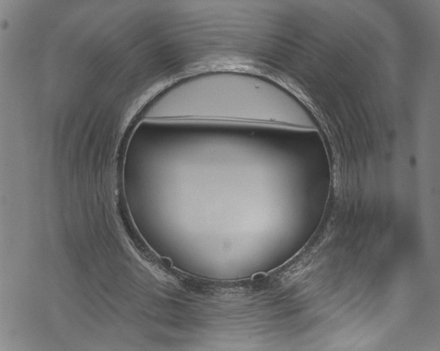 X0000073980438200608211012