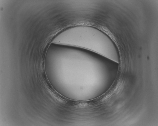 X0000073980441200608211012