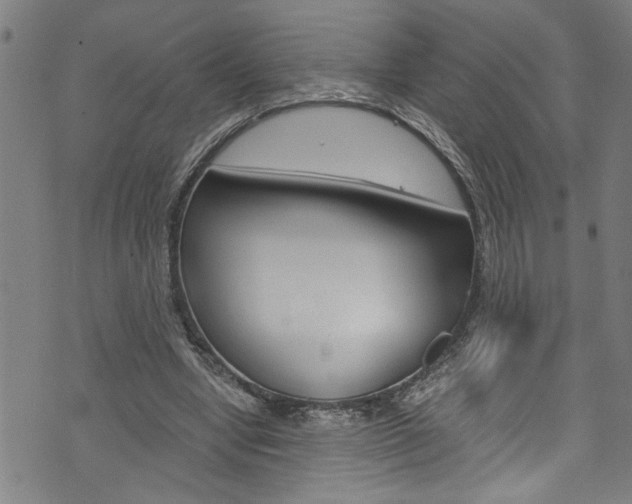 X0000073980442200608211012