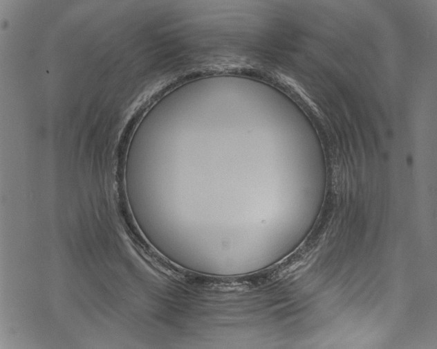 X0000073980443200608211012