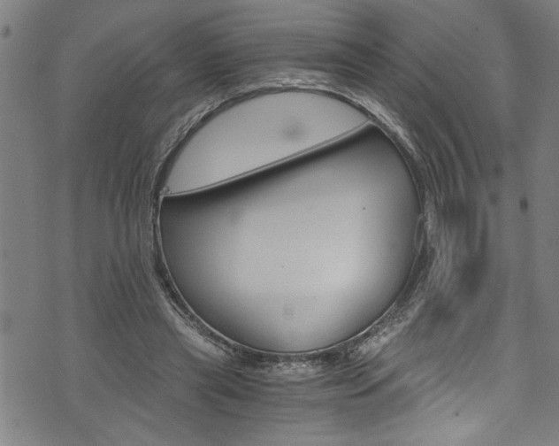 X0000073980445200608211012