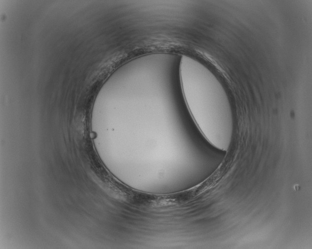 X0000073980451200608211012