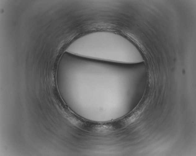 X0000073980453200608211012