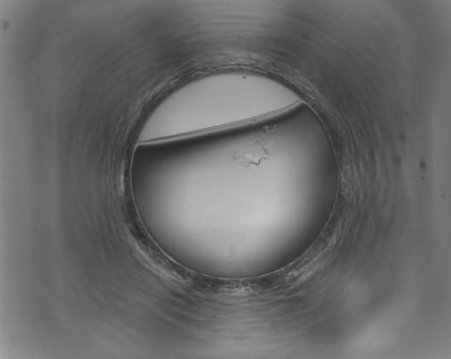 X0000073980454200608211012