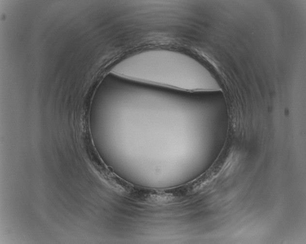 X0000073980455200608211012