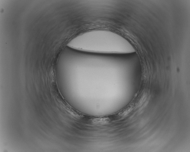 X0000073980465200608211013