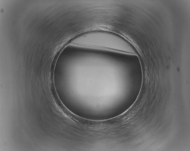X0000073980485200608211012