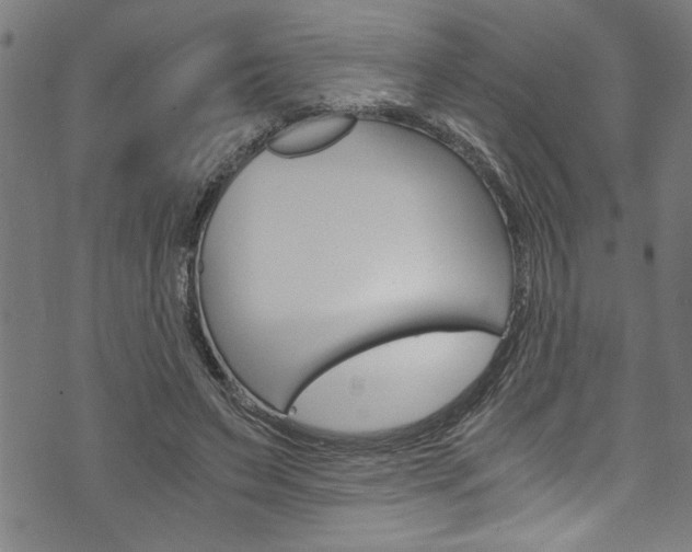 X0000073980495200608211012