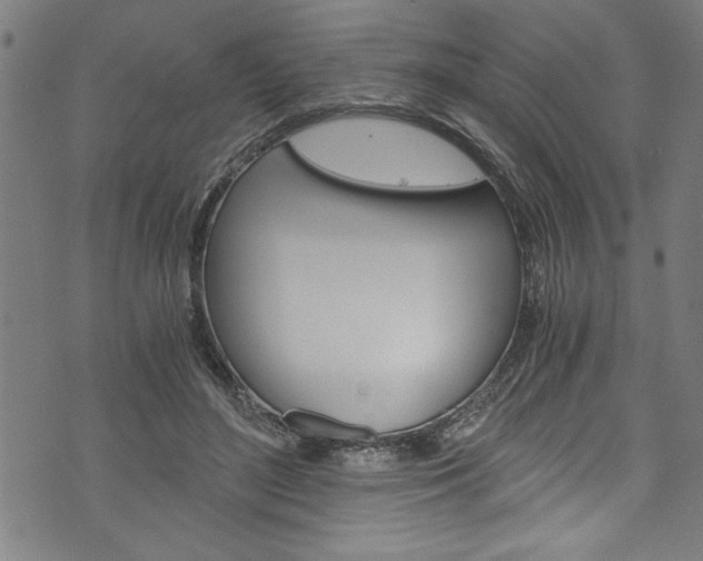 X0000073980500200608211012