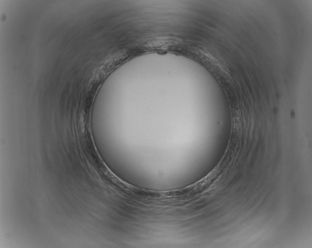 X0000073980504200608211012