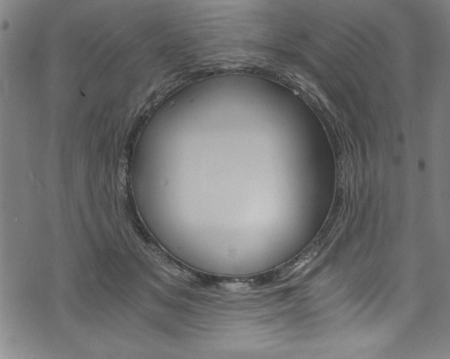 X0000073980509200608211012