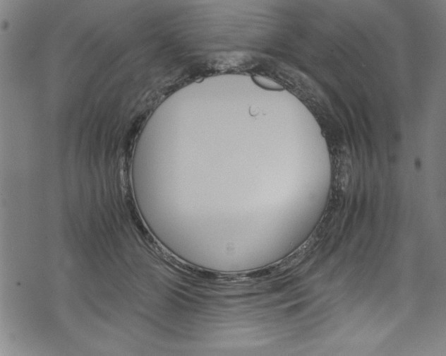 X0000073980510200608211012