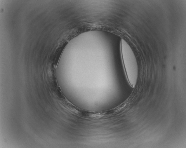 X0000073980516200608211011