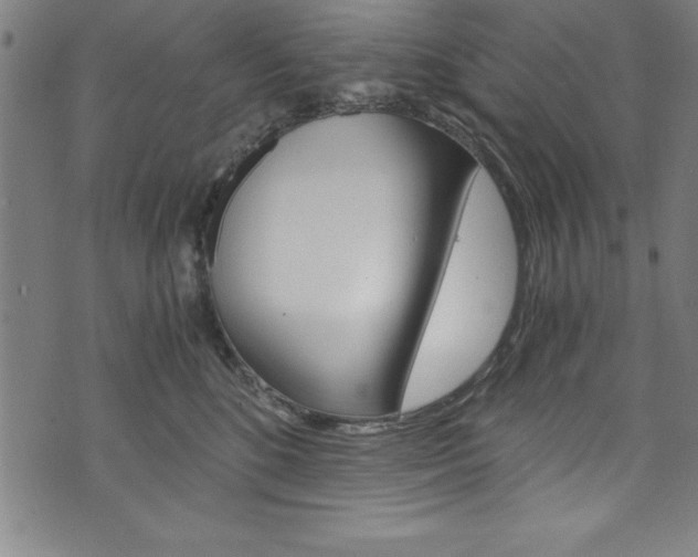 X0000073980520200608211011