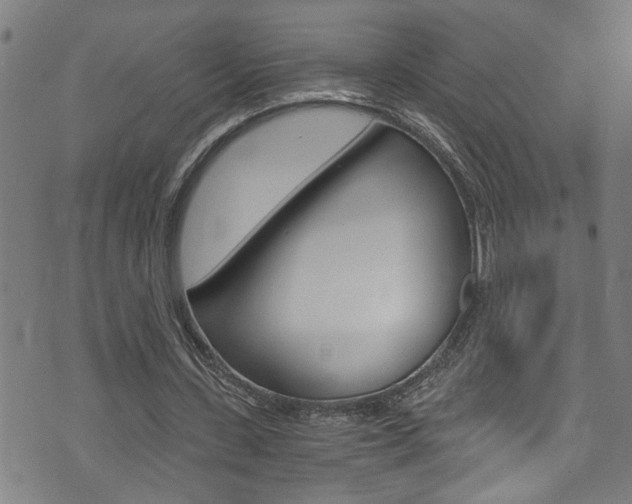 X0000073980531200608211011