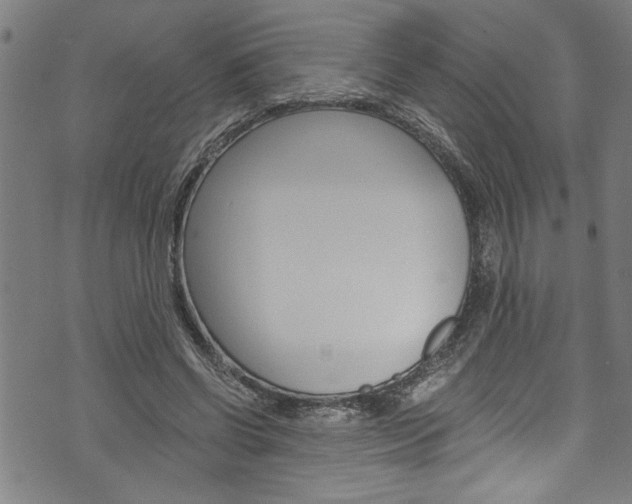 X0000073980542200608211011