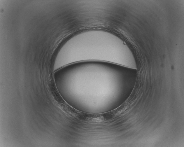 X0000073980548200608211011