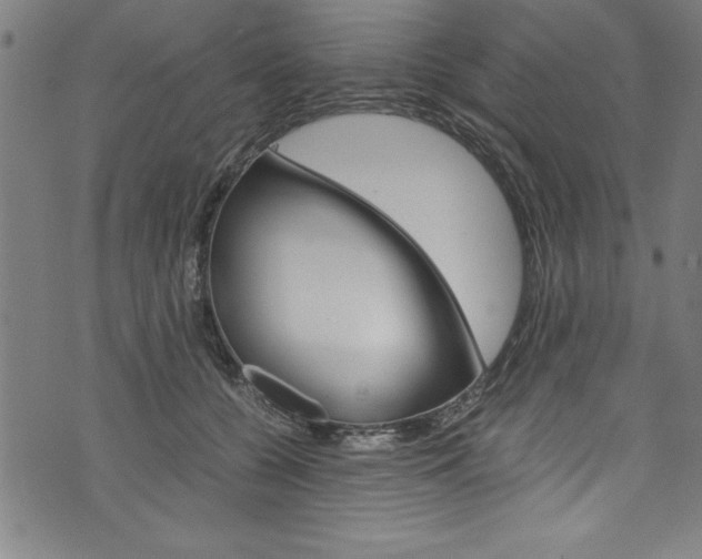X0000073980560200608211011
